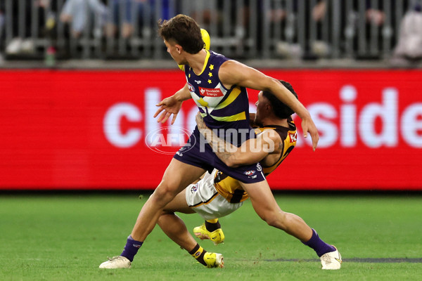 AFL Rd 8 - Fremantle v Hawthorn - A-1440299
