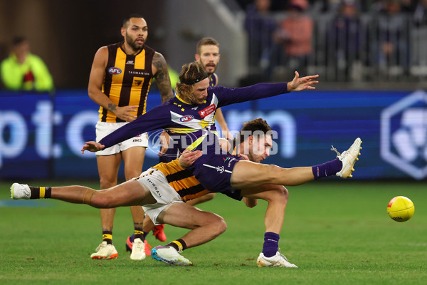 AFL Rd 8 - Fremantle v Hawthorn - A-1440309