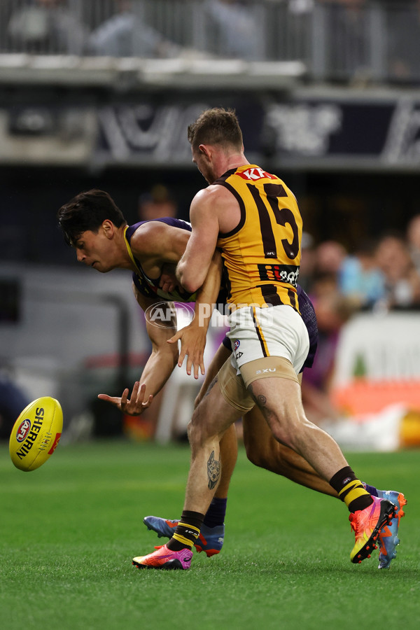 AFL Rd 8 - Fremantle v Hawthorn - A-1440310