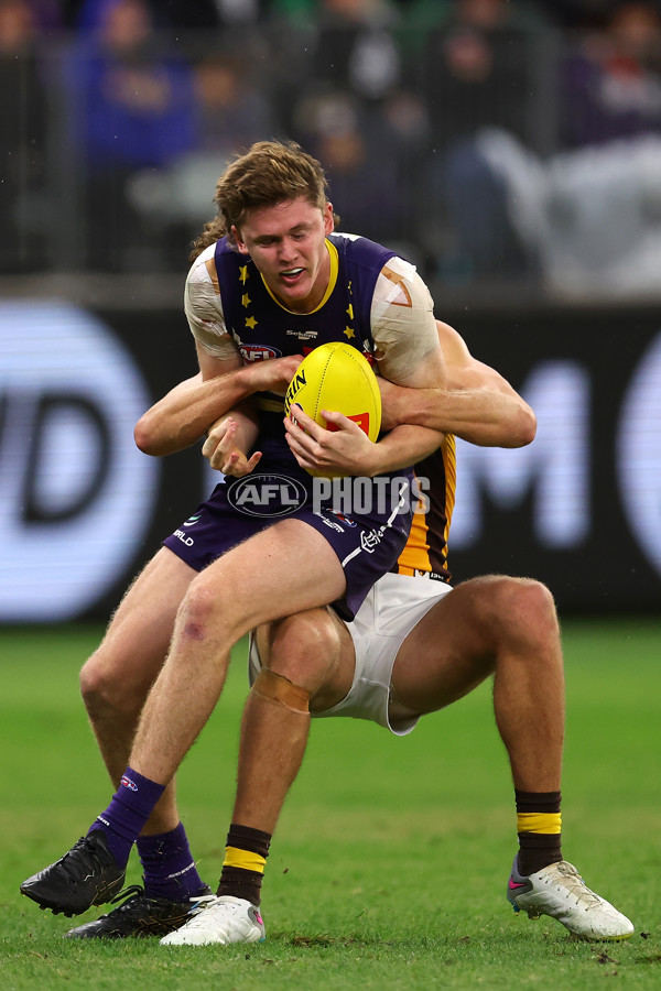 AFL Rd 8 - Fremantle v Hawthorn - A-1440330