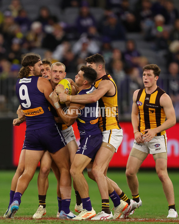 AFL Rd 8 - Fremantle v Hawthorn - A-1443047