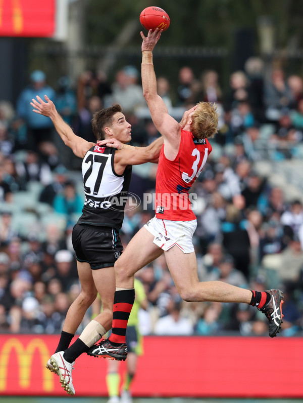 AFL Rd 8 - Port Adelaide v Essendon - A-1448179