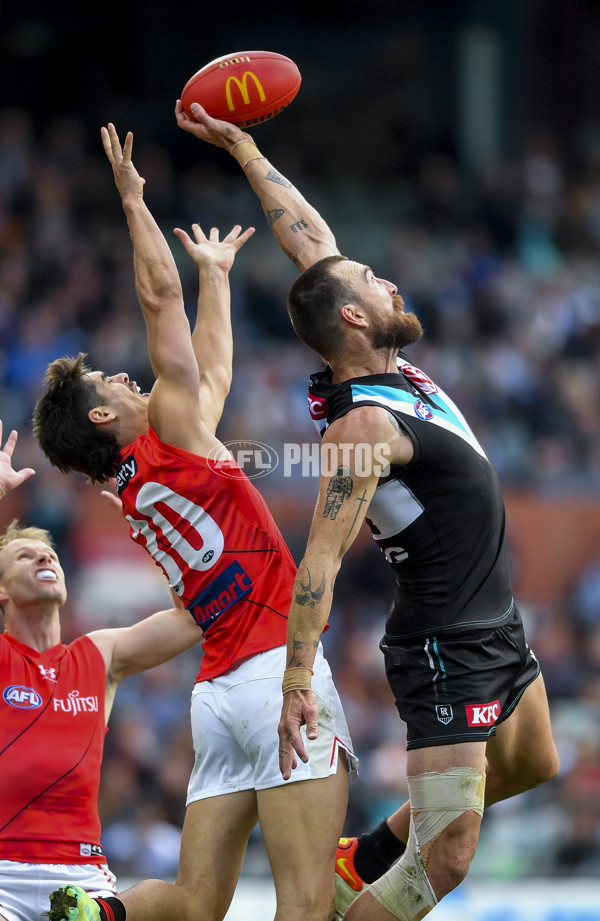 AFL Rd 8 - Port Adelaide v Essendon - A-1450389