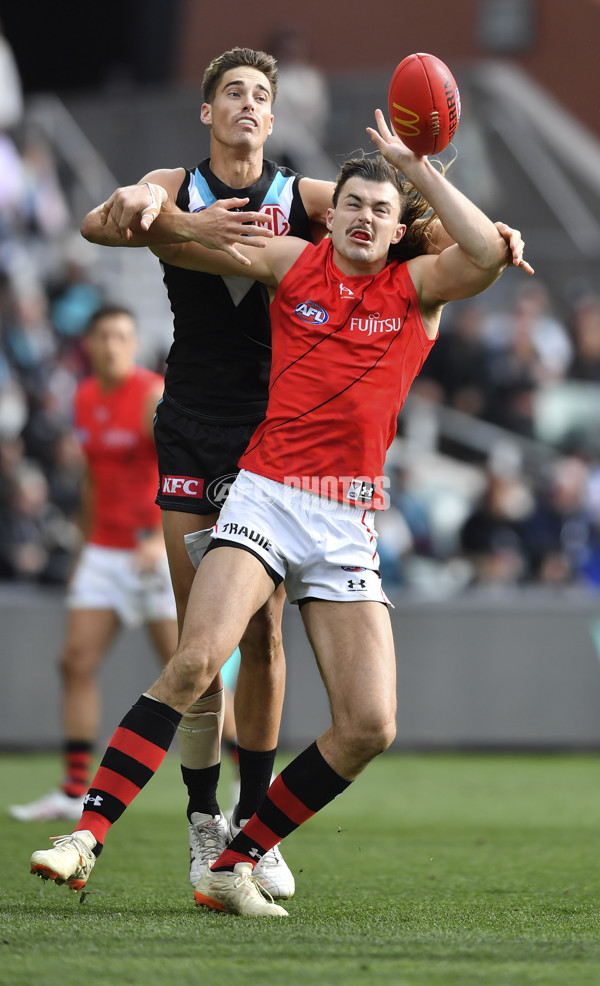 AFL Rd 8 - Port Adelaide v Essendon - A-1450410