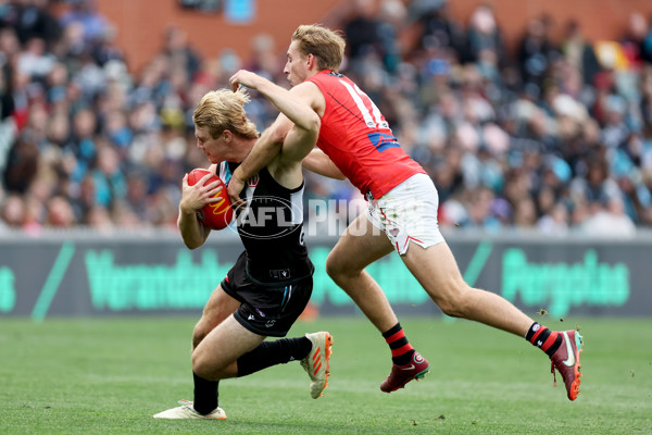 AFL Rd 8 - Port Adelaide v Essendon - A-1450425