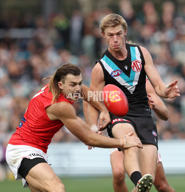 AFL Rd 8 - Port Adelaide v Essendon - A-1453294