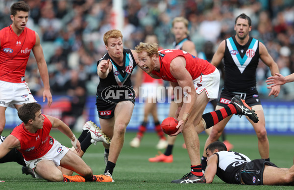 AFL Rd 8 - Port Adelaide v Essendon - A-1453363