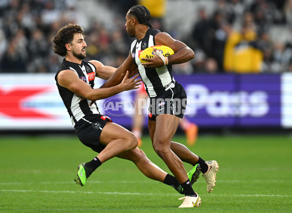 AFL Rd 8 - Collingwood v Sydney - A-1453368