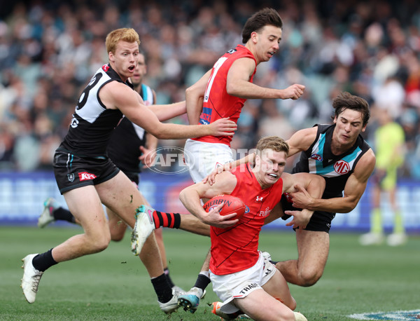 AFL Rd 8 - Port Adelaide v Essendon - A-1454626