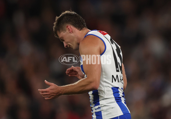 AFL Rd 8 - North Melbourne v St Kilda - A-1456121