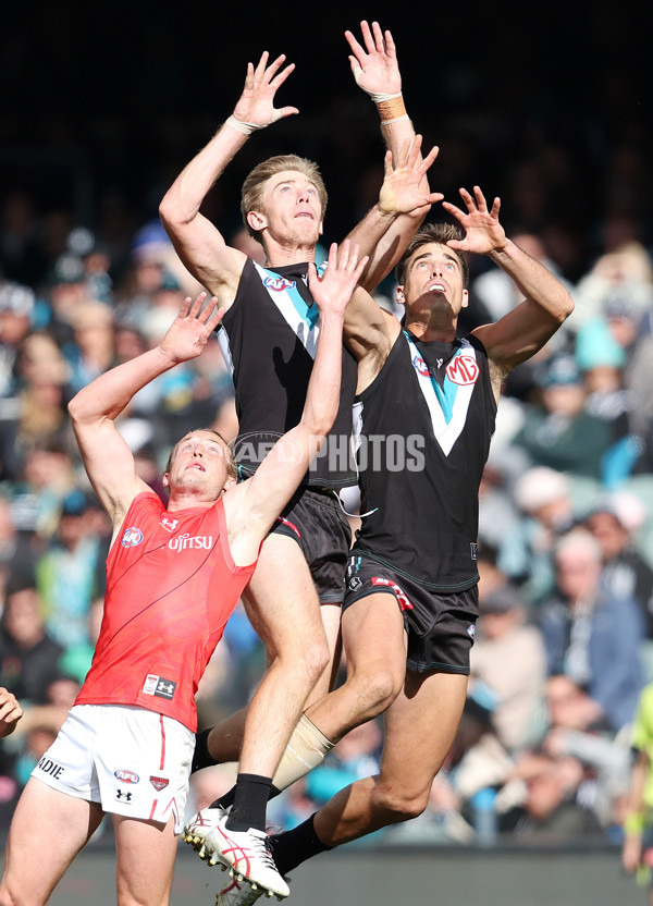 AFL Rd 8 - Port Adelaide v Essendon - A-1456122