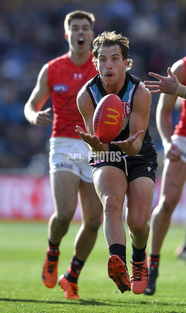 AFL Rd 8 - Port Adelaide v Essendon - A-1456136