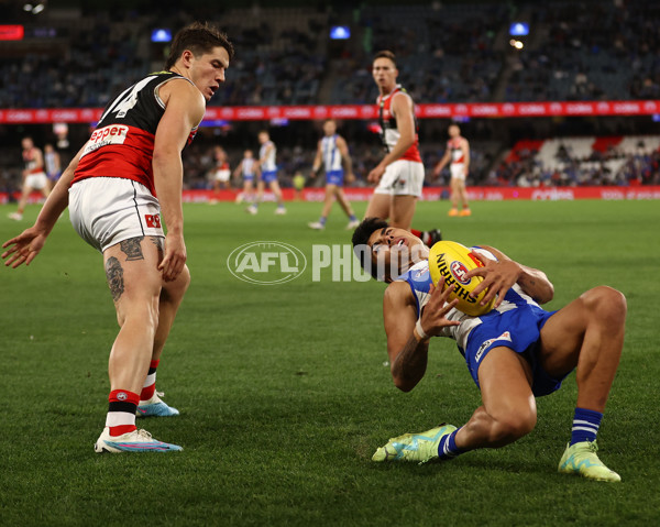 AFL Rd 8 - North Melbourne v St Kilda - A-1456179