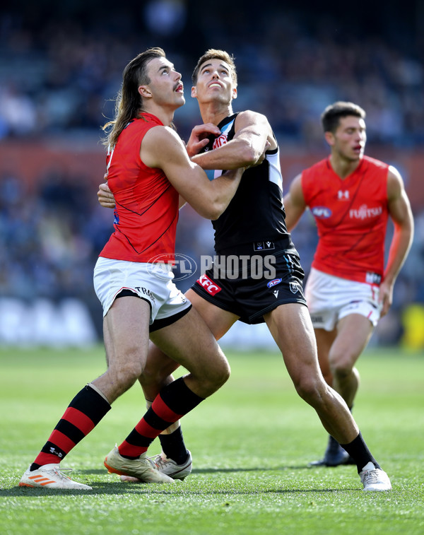 AFL Rd 8 - Port Adelaide v Essendon - A-1456214