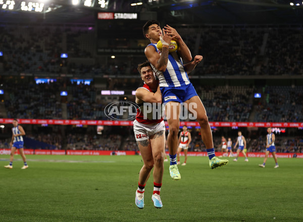 AFL Rd 8 - North Melbourne v St Kilda - A-1457848