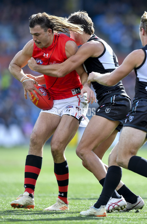 AFL Rd 8 - Port Adelaide v Essendon - A-1457871