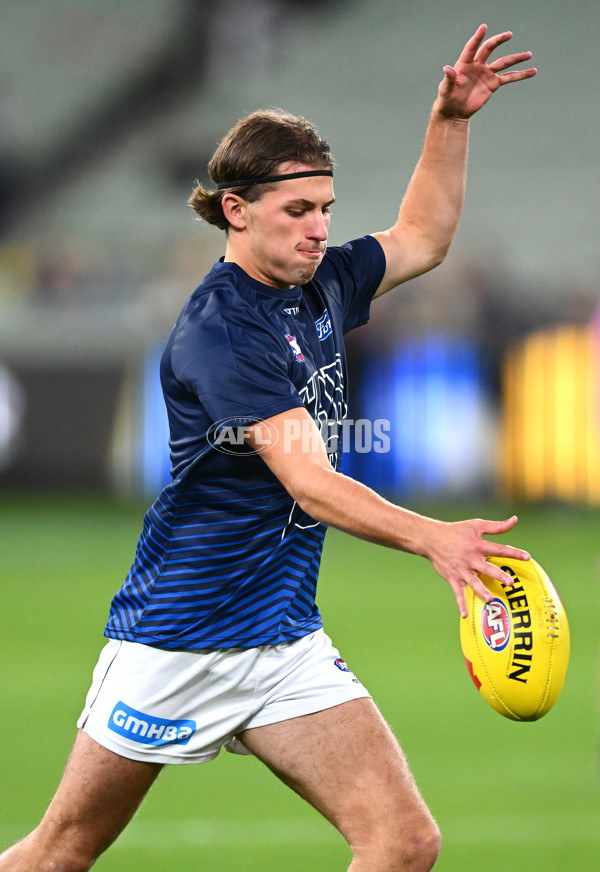 AFL Rd 9 - Richmond v Geelong - A-1457922