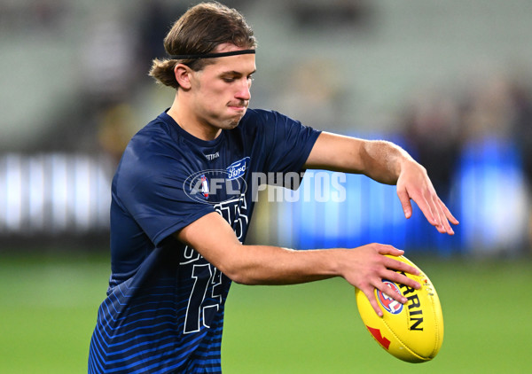 AFL Rd 9 - Richmond v Geelong - A-1459303
