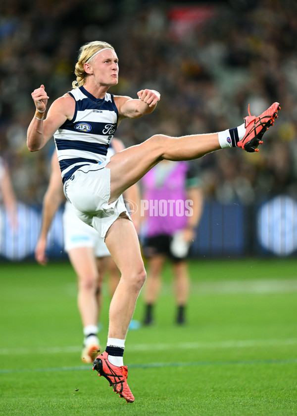 AFL Rd 9 - Richmond v Geelong - A-1475571