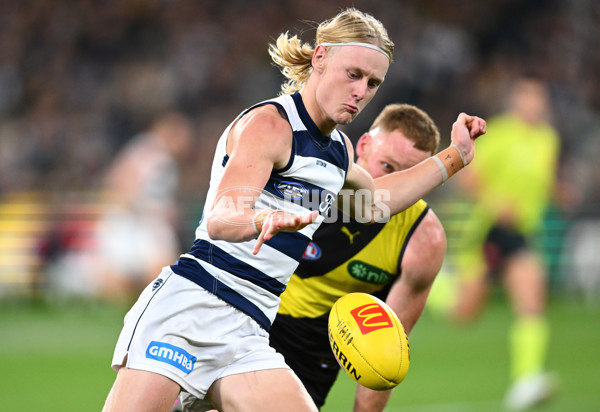 AFL Rd 9 - Richmond v Geelong - A-1476053