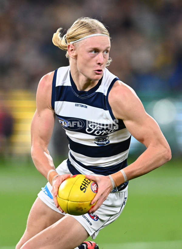 AFL Rd 9 - Richmond v Geelong - A-1476055
