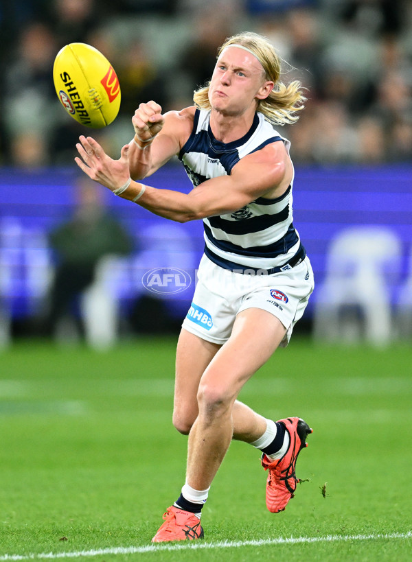 AFL Rd 9 - Richmond v Geelong - A-1476062