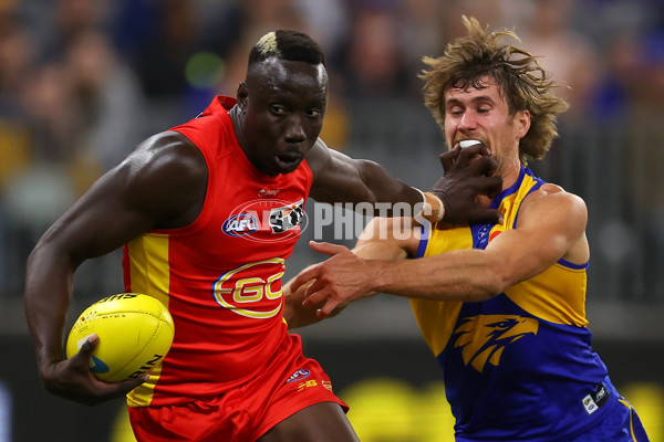 AFL Rd 9 - West Coast v Gold Coast - A-1479258