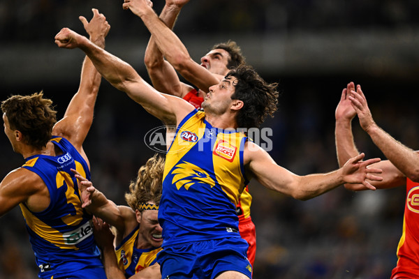 AFL Rd 9 - West Coast v Gold Coast - A-1481665