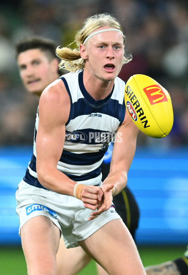AFL Rd 9 - Richmond v Geelong - A-1484220