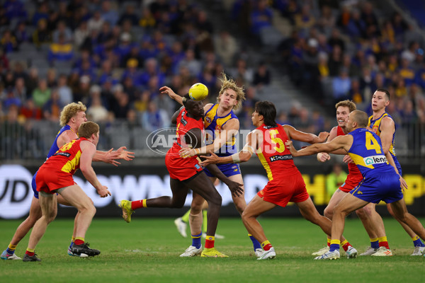 AFL Rd 9 - West Coast v Gold Coast - A-1485680