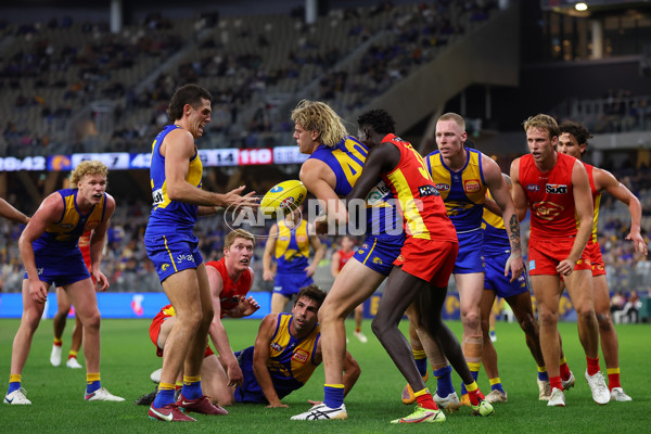 AFL Rd 9 - West Coast v Gold Coast - A-1485682