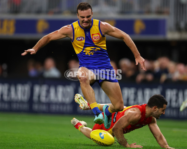 AFL Rd 9 - West Coast v Gold Coast - A-1487666
