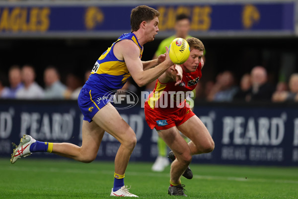 AFL Rd 9 - West Coast v Gold Coast - A-1488550