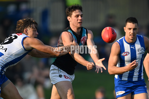 AFL Rd 9 - North Melbourne v Port Adelaide - A-1493044