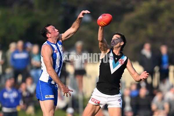 AFL Rd 9 - North Melbourne v Port Adelaide - A-1493060