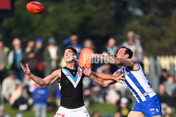 AFL Rd 9 - North Melbourne v Port Adelaide - A-1493066