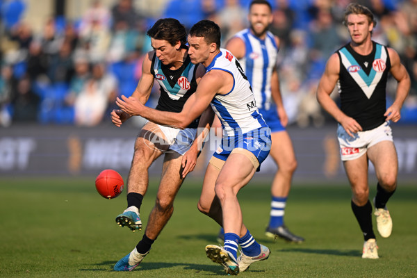 AFL Rd 9 - North Melbourne v Port Adelaide - A-1493076