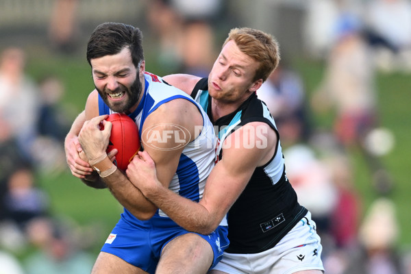 AFL Rd 9 - North Melbourne v Port Adelaide - A-1499109
