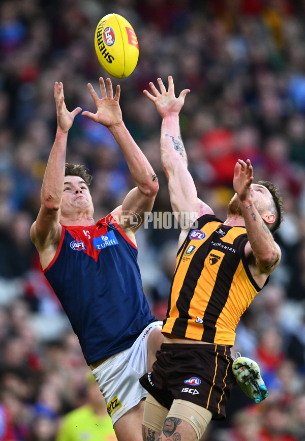 AFL Rd 9 - Hawthorn v Melbourne - A-1501612