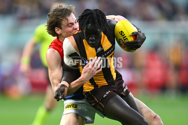 AFL Rd 9 - Hawthorn v Melbourne - A-1501639