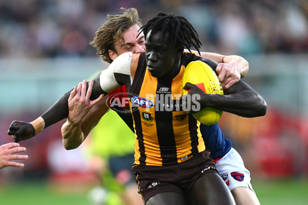 AFL Rd 9 - Hawthorn v Melbourne - A-1501640