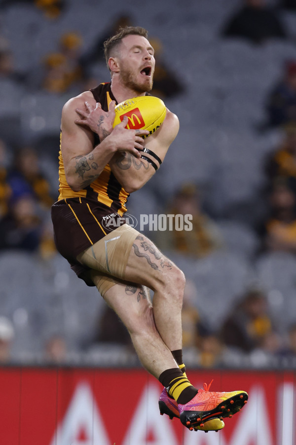 AFL Rd 9 - Hawthorn v Melbourne - A-1501655