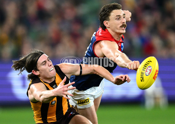 AFL Rd 9 - Hawthorn v Melbourne - A-1501663