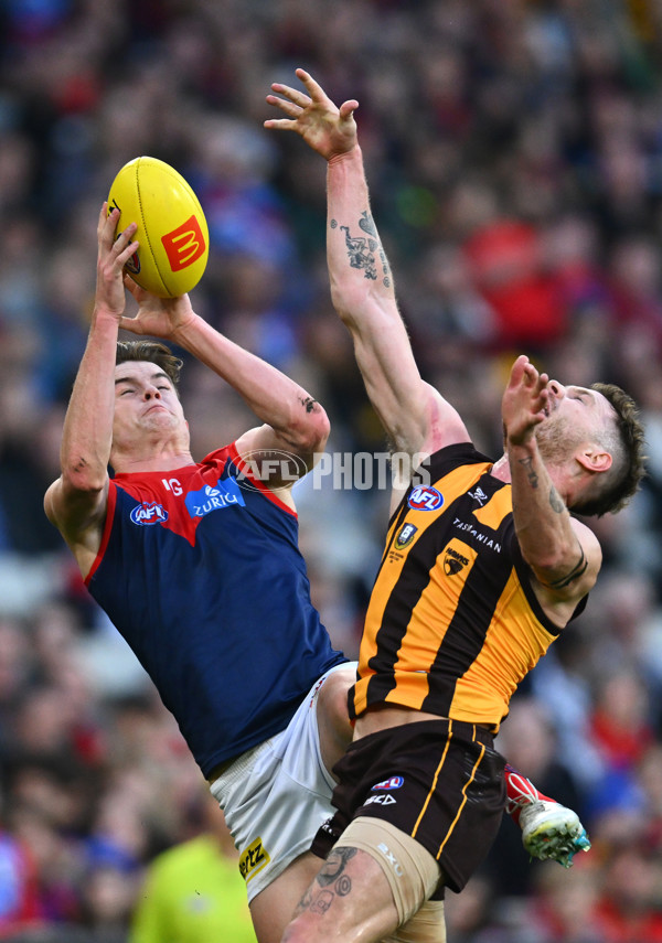AFL Rd 9 - Hawthorn v Melbourne - A-1501798