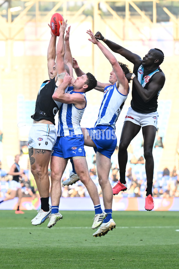 AFL Rd 9 - North Melbourne v Port Adelaide - A-1501814