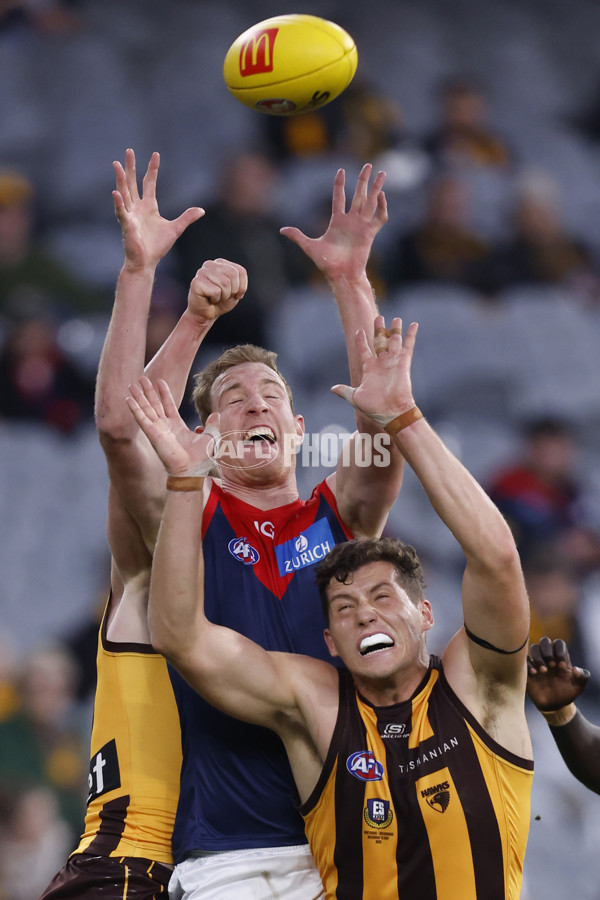 AFL Rd 9 - Hawthorn v Melbourne - A-1501828