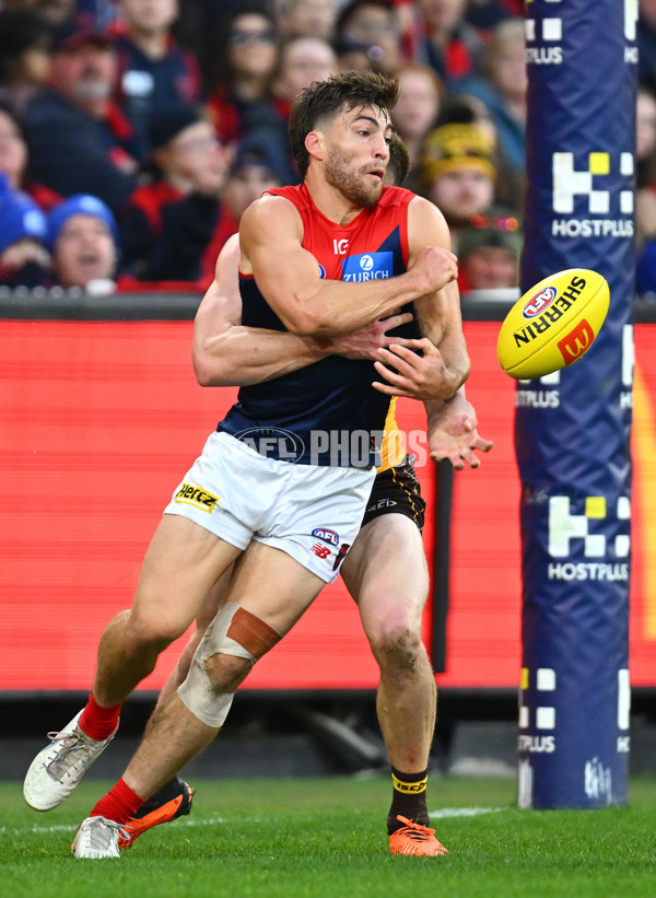 AFL Rd 9 - Hawthorn v Melbourne - A-1501863