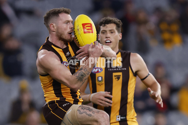 AFL Rd 9 - Hawthorn v Melbourne - A-1504599