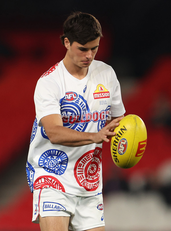 AFL Rd 9 - Carlton v Western Bulldogs - A-1504627