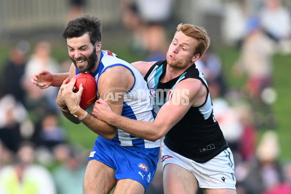 AFL Rd 9 - North Melbourne v Port Adelaide - A-1504688
